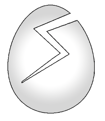 Salam Team Logo Cracked Egg